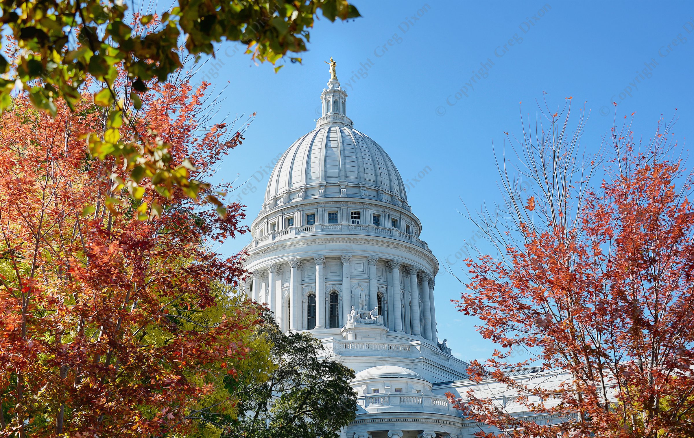 "Capitol in Color"  Madison, Wisconsin  Capitol Square | The Wisconsin State Capitol Building is pictured behind trees in fall color on the morning of Saturday, October 17, 2015 | Signature Edition Print by Greg Dixon | Digital Photograph with oil painting effect